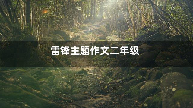 雷锋主题作文二年级