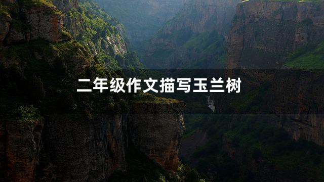 二年级作文描写玉兰树