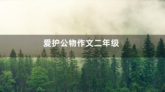 爱护公物作文二年级