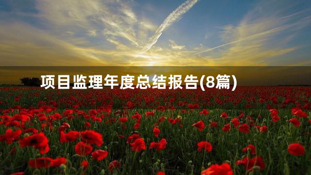 项目监理年度总结报告(8篇)
