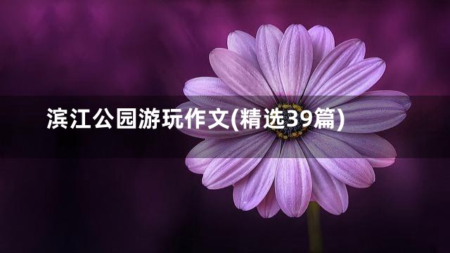 滨江公园游玩作文(精选39篇)