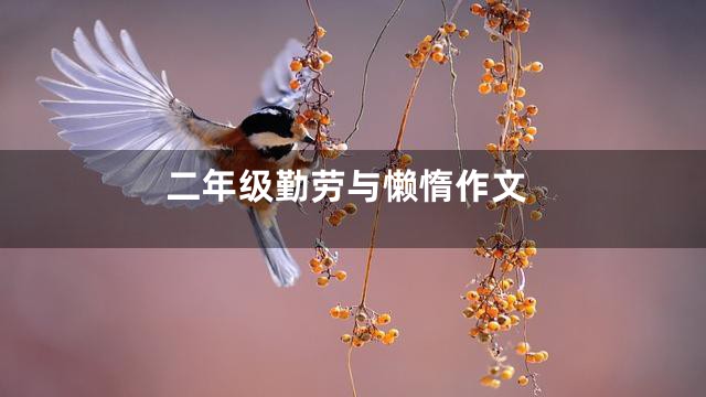 二年级勤劳与懒惰作文