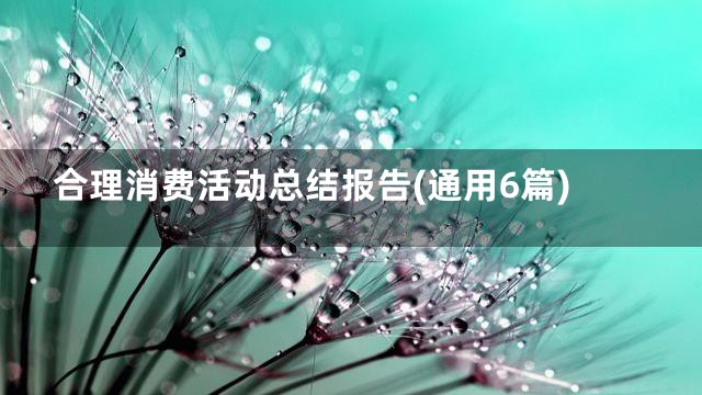 合理消费活动总结报告(通用6篇)