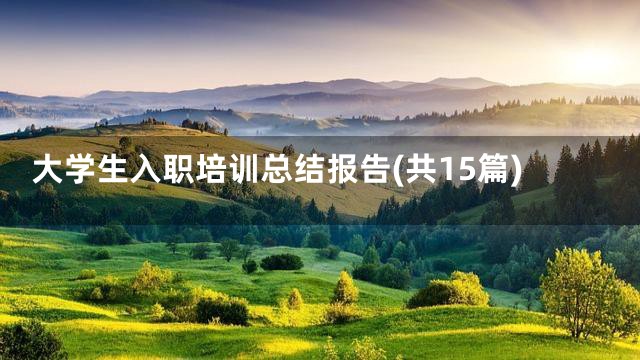 大学生入职培训总结报告(共15篇)