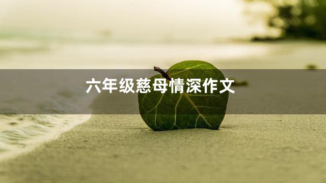 六年级慈母情深作文