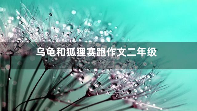 乌龟和狐狸赛跑作文二年级