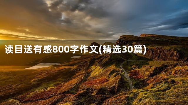 读目送有感800字作文(精选30篇)