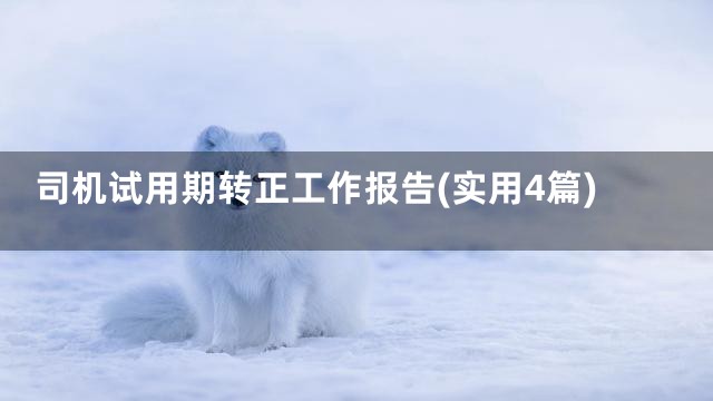 司机试用期转正工作报告(实用4篇)