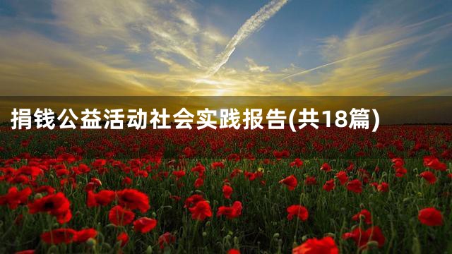 捐钱公益活动社会实践报告(共18篇)