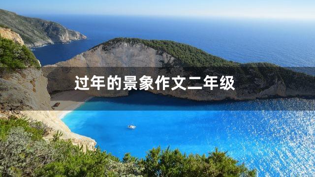 过年的景象作文二年级