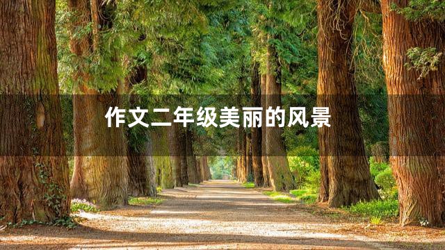作文二年级美丽的风景