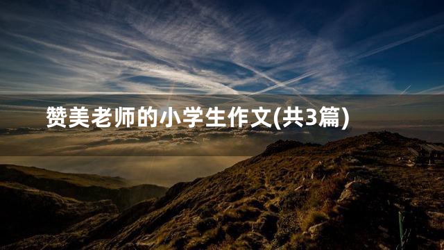 赞美老师的小学生作文(共3篇)