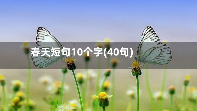 春天短句10个字(40句)