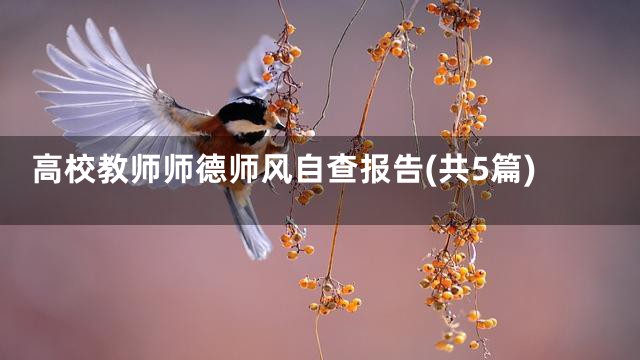 高校教师师德师风自查报告(共5篇)