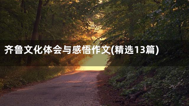 齐鲁文化体会与感悟作文(精选13篇)