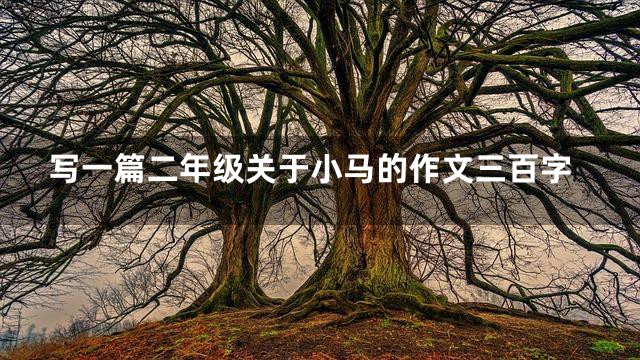 写一篇二年级关于小马的作文三百字