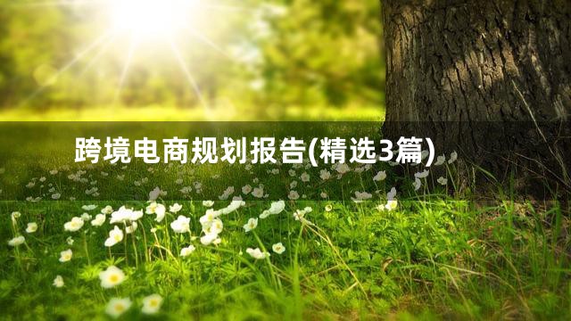 跨境电商规划报告(精选3篇)