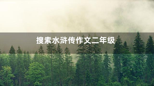 搜索水浒传作文二年级