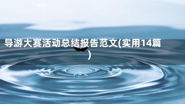 导游大赛活动总结报告范文(实用14篇)