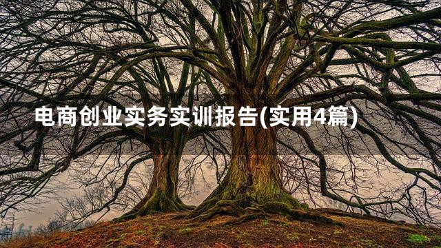 电商创业实务实训报告(实用4篇)