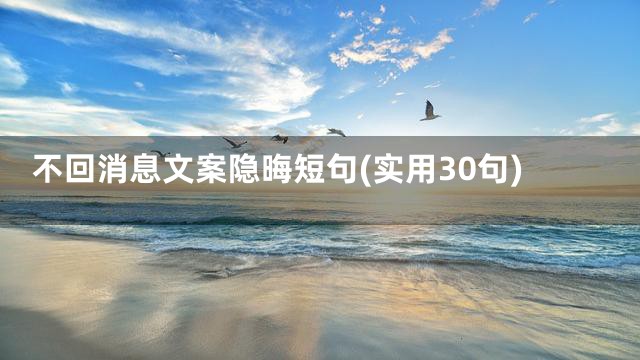不回消息文案隐晦短句(实用30句)