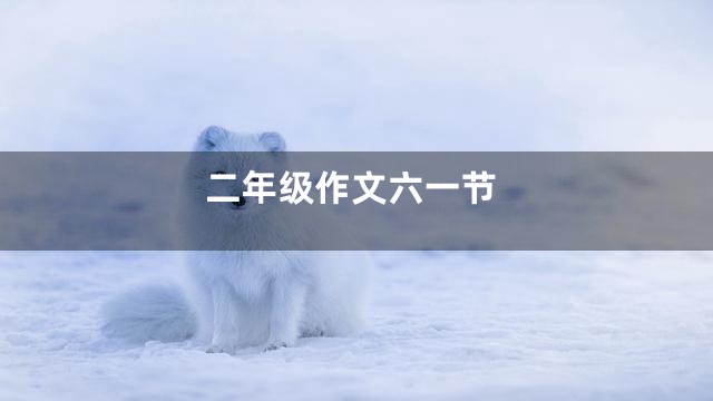 二年级作文六一节