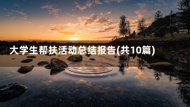大学生帮扶活动总结报告(共10篇)