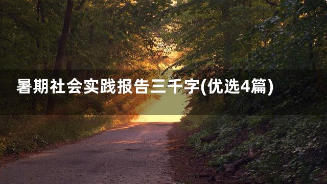 暑期社会实践报告三千字(优选4篇)
