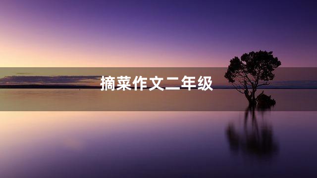 摘菜作文二年级