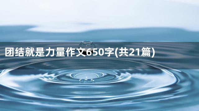 团结就是力量作文650字(共21篇)