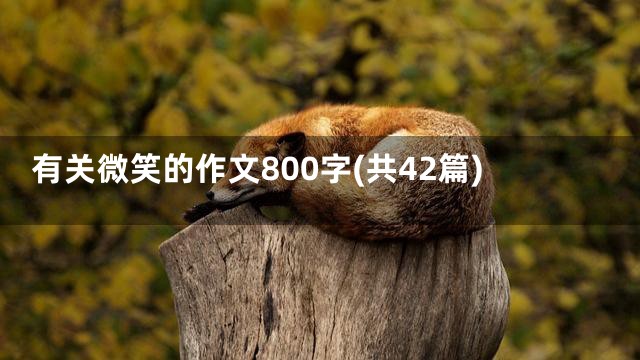 有关微笑的作文800字(共42篇)