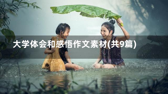 大学体会和感悟作文素材(共9篇)