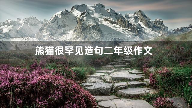 熊猫很罕见造句二年级作文