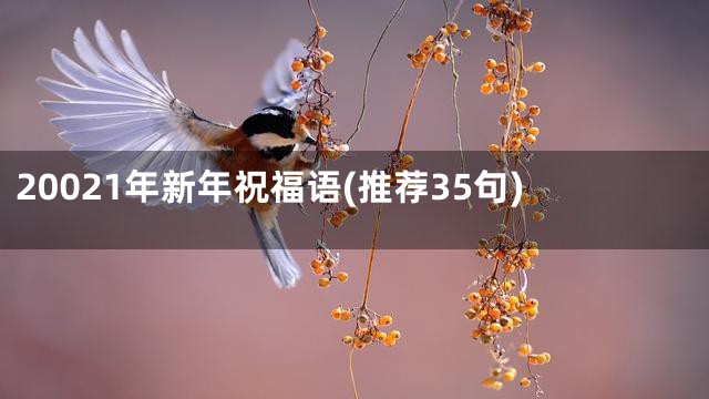 20021年新年祝福语(推荐35句)