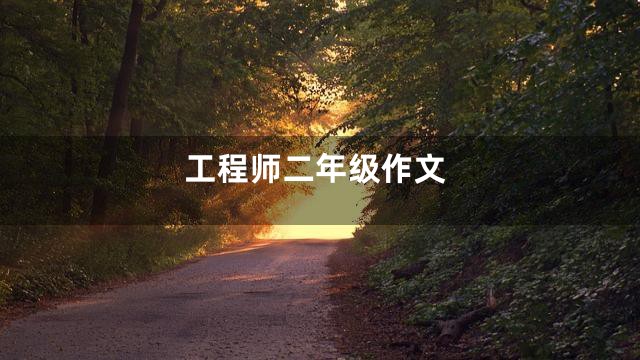 工程师二年级作文