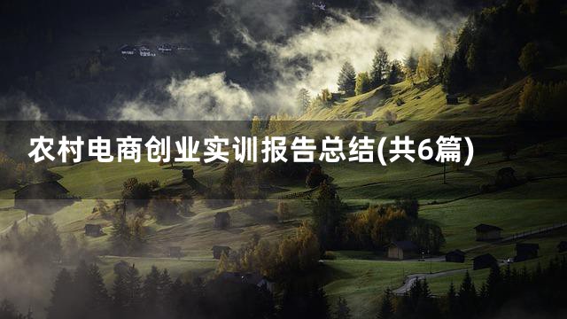 农村电商创业实训报告总结(共6篇)