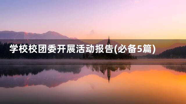 学校校团委开展活动报告(必备5篇)