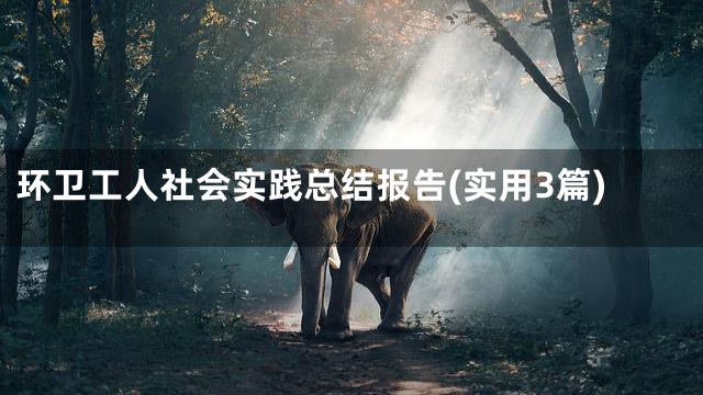 环卫工人社会实践总结报告(实用3篇)