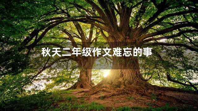 秋天二年级作文难忘的事