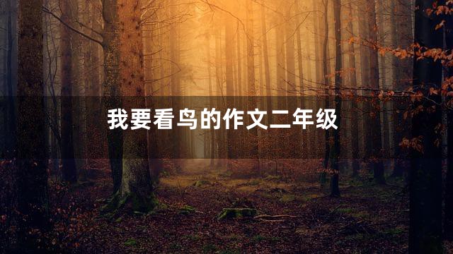我要看鸟的作文二年级