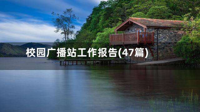 校园广播站工作报告(47篇)