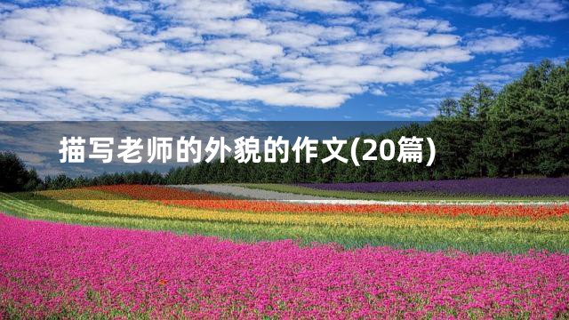 描写老师的外貌的作文(20篇)