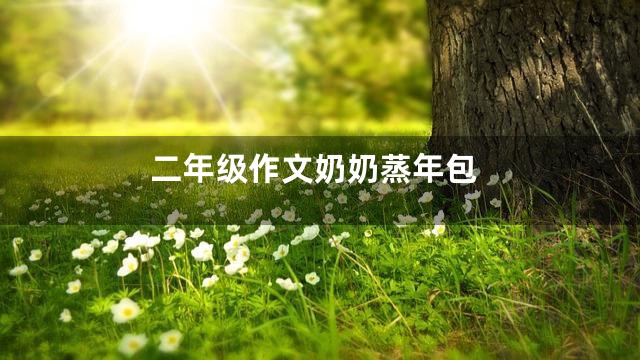 二年级作文奶奶蒸年包