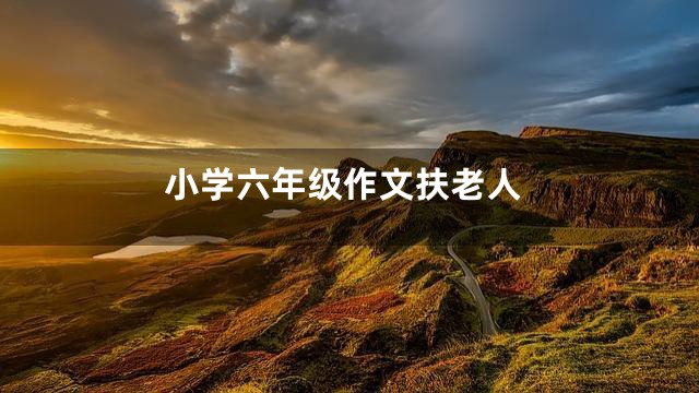 小学六年级作文扶老人