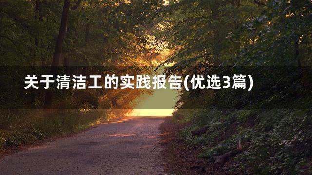 关于清洁工的实践报告(优选3篇)