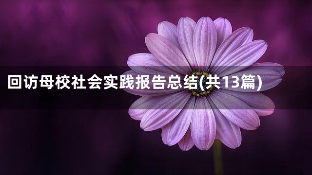 回访母校社会实践报告总结(共13篇)