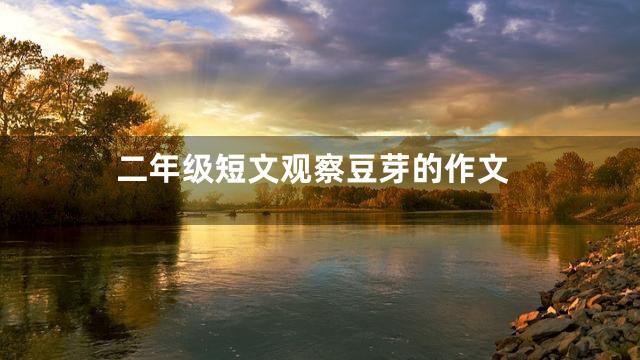 二年级短文观察豆芽的作文
