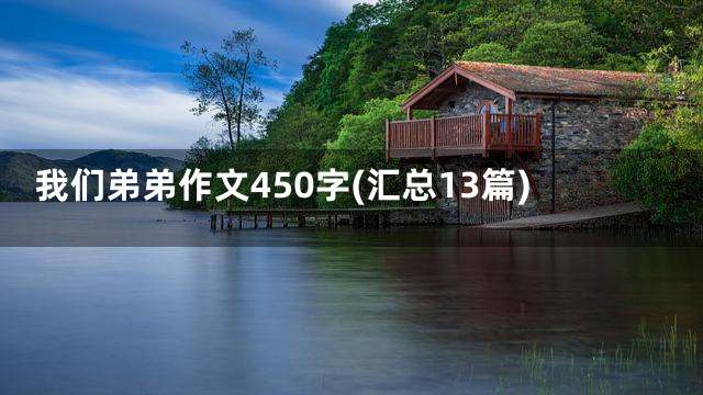 我们弟弟作文450字(汇总13篇)