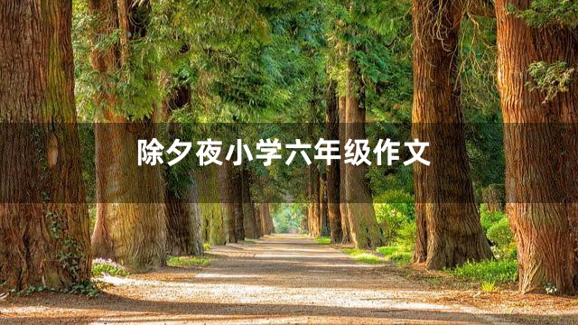 除夕夜小学六年级作文