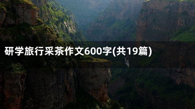 研学旅行采茶作文600字(共19篇)